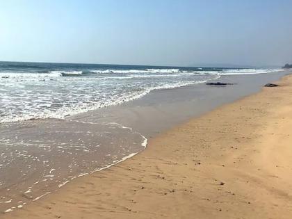 National Open Surf Fishing Tournament will be held for the first time in Ratnagiri | रत्नागिरीत प्रथमच होणार राष्ट्रीय ओपन सर्फ फिशिंग टुर्नामेंट