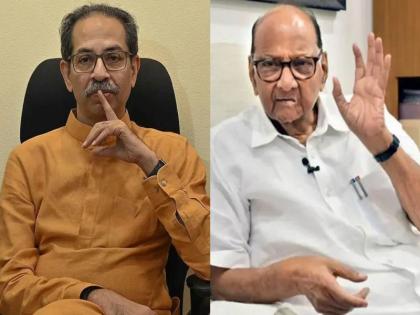 NCP chief Sharad Pawar has responded to Former CM Uddhav Thackeray's criticism. | राजीनाम्यावरुन उद्धव ठाकरेंची राष्ट्रवादीवर टीका; शरद पवारांनी स्पष्टच सांगितलं, म्हणाले...