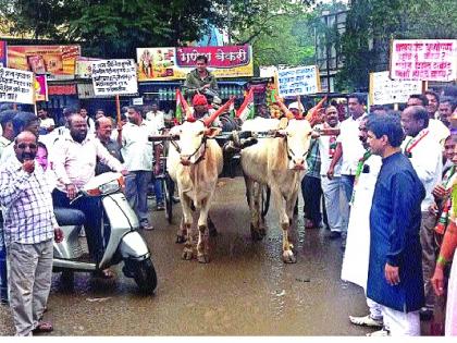  The nation's warrior postponed, bullock cart of Congress- Independent agitations | राष्टÑवादीची ढकलगाडी, कॉँग्रेसची बैलगाडी-- स्वतंत्र आंदोलने