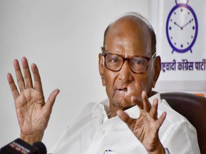 'It is their right to take a different decision, there is no split in the party Sharad Pawar's big statement | 'वेगळा निर्णय घेणं हा त्यांचा अधिकार,पक्षात फूट पडलेली नाही; शरद पवारांचं मोठं वक्तव्य