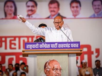 ncp sharad pawar criticizes bjp govt and ashok chavan dilip walse patil in rally | “वडिलांचे प्रामाणिकपणे काम, मुलात ५ टक्केही निष्ठा नाही”; शरद पवारांची वळसे पाटलांवर टीका