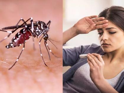 Anopheles mosquitoes claimed six victims in a decade and a half | दीड दशकात ॲनोफिलीस जातीच्या डासांनी घेतले सहा बळी