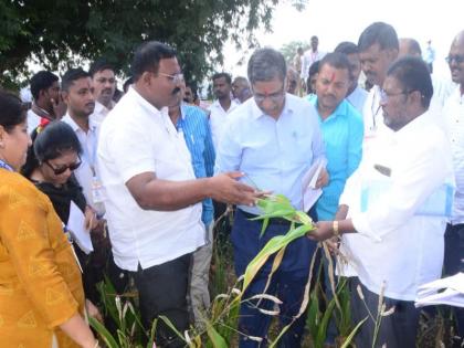 Central Squad in Karmala; Inspection of drought villages started | केंद्रीय पथक करमाळ्यात; दुष्काळ गावांची पाहणी सुरू