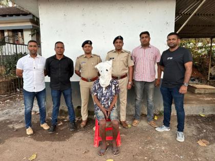 Narcotics worth Rs 84 thousand seized in Calangute; Youth arrested in Maharashtra | कळंगुट येथे ८४ हजार रुपये किमतीचा अंमली पदार्थ जप्त; महाराष्ट्रातील युवकाला अटक  