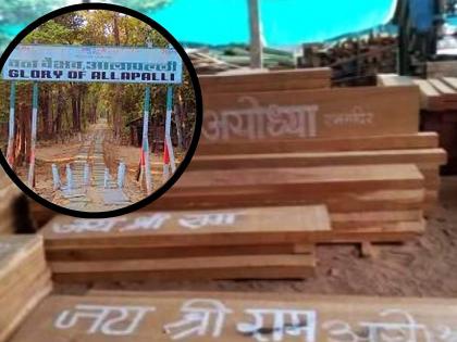 Sagwan Nahi, Ye Toh Sona Hai... Teakwood of Allapalli becomes the charm of the whole world | सागवान नही, ये तो सोना है... आलापल्लीच्या सागवानाची साऱ्या जगाला भुरळ