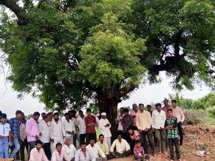 The neem leaves were made as sweet | अन् कडूनिंबाची पाने झाली गोड The neem leaves were made as sweet | अन् कडूनिंबाची पाने झाली गोड