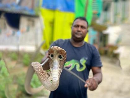 Three and a half feet long snake in the bungalow of an entrepreneur in Chirner | चिरनेर येथील उद्योजकाच्या बंगल्यात साडेतीन फुट लांबीचा शिरला नाग