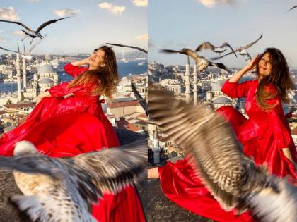 Salman Khan Ex Girlfriend Sangeeta Bijlani Gets Attacked by Birds Watch Video | Sangeeta Bijlani : संगीता बिजलानी मजेत फोटोशूट करत होती, पुढे काय घडलं? पाहा व्हिडीओ