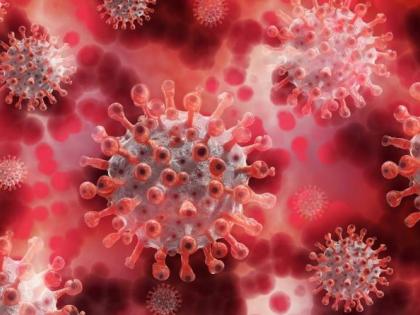 New Corona virus threat averted immediately! | नव्या कोरोना विषाणूचा तूर्तास धोका टळला!