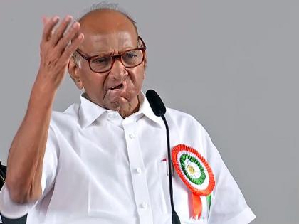 Will fight with fellow parties says Sharad Pawar | सहकारी पक्षांना सोबत घेऊन लढणार - शरद पवार