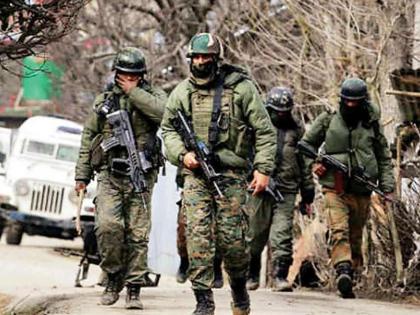 two LeT militants killed, one captured in Poonch encounter amid DDC polls | जम्मू-काश्मीरमध्ये दोन दहशतवाद्यांचा खात्मा; एकाला जीवंत पकडलं