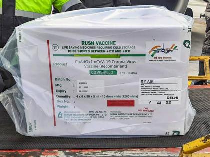 Serum Institute of India UNICEF enter into long-term supply for COVID-19 vaccines | भारताचा जगात डंका! १०० देशांना कोरोना लस पाठवणार पुण्याची सीरम इन्स्टिट्यूट