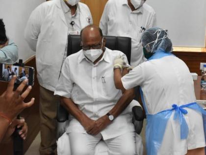 sharad pawar takes covid vaccine in mumbai j j hospital | Sharad Pawar Covid Vaccine : मोठी बातमी! पंतप्रधान मोदींपाठोपाठ शरद पवारांनीही टोचून घेतली कोरोनाची लस