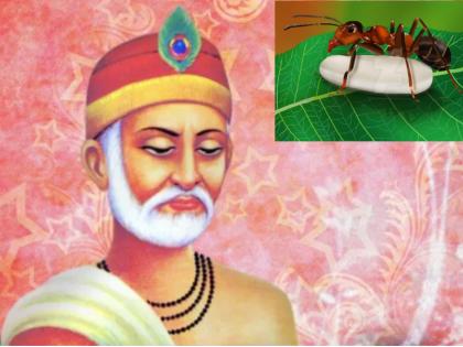 Beautiful teachings given by Saint Kabir from the metaphorical story of the ant! | कबीर जयंती : मुंगीच्या रूपक कथेतून संत कबीरांनी दिलेली सुंदर शिकवण!