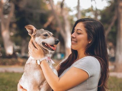 will Bring dogs and cats to the office otherwise resign | कुत्री-मांजरं ऑफिसात आणू, अन्यथा राजीनामा