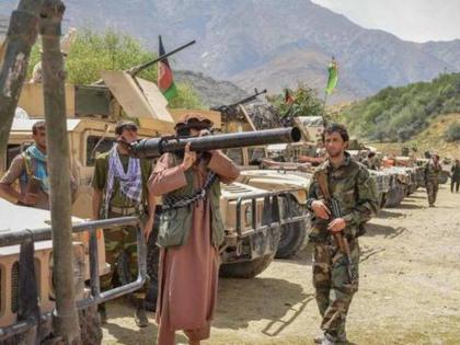 Afghanistan Crisis 300 Taliban Fighters Killed In Ambush Attack Of Panjshir Resistance Forces | Afghanistan Crisis: तालिबान्यांना मोठा दणका! पंजशीर ताब्यात घेण्याच्या प्रयत्नांना धक्का; ३०० दहशतवादी ठार