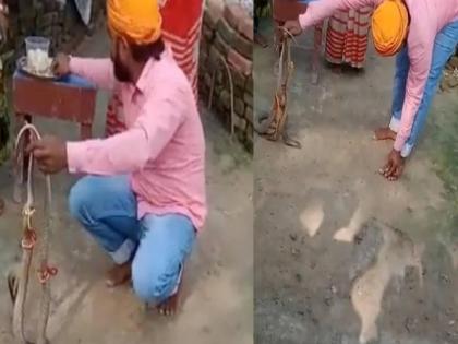 brother died due to snake bite after he tries to tie rakhi on it from sister | बहिणीकडून बांधून घेत होता नागांना राखी; तितक्यात भावाच्या पायाला नागाचा दंश अन् मग...