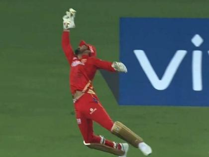 IPL 2021 KL Rahul took stunner catch of sanju samson watch video | IPL 2021, KL Rahul: 'सुपरमॅन' राहुल! पंजाबच्या केएल राहुलनं एका हातानं टिपला अविश्वसनीय झेल; पाहा Video