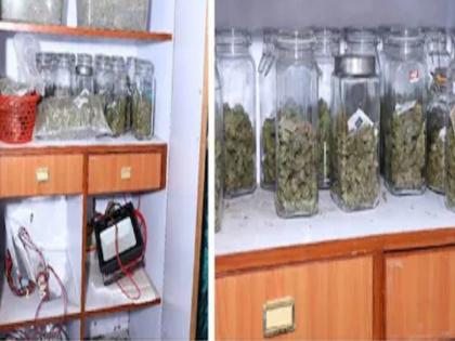 man made hybrid cannabis at home with the help of LED lights police arrested in Bangalore | ...म्हणे मी भगवान शंकरापासून घेतली प्रेरणा; तरुणानं घरात भलताच कारनामा केला