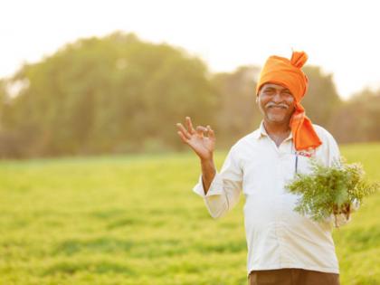 The short story teachings are worth millions; Read the story of a farmer! | गोष्ट चाराण्याची, शिकवण लाखमोलाची; वाचा एका शेतकऱ्याची गोष्ट!