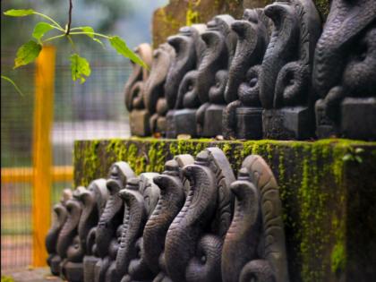 नाग हे कुलपुरुषाचे प्रतीक म्हणून त्यांच्या स्मरणार्थ आज 'अशी' साजरी करा नागदिवाळी!