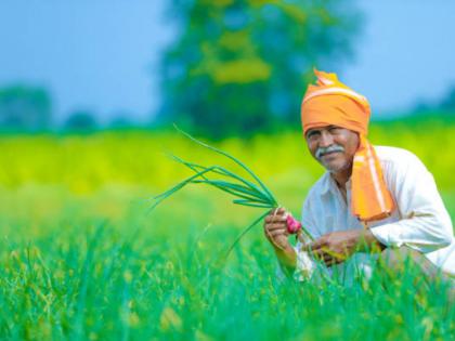 'Be patient ... these days will pass'; Read the story of two farmers! | 'धीर धरा...हे ही दिवस जातील'; वाचा दोन शेतकऱ्यांच्या यशापयशाची गोष्ट!