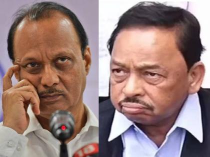 Narayan Rane Finance Minister comes and defeats Rane slammed Ajit Pawar | Narayan Rane: अर्थमंत्री येऊन पराभव करुन जातात, ही यांची अक्कल; नारायण राणेंचा अजित पवारांना सणसणीत टोला