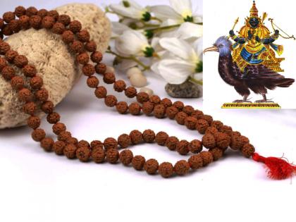 Rudraksha of Shiva Shambhu will protect from Shani Sadesati; Read on to find out when and how to use it! | शनीच्या साडेसातीपासून रक्षण करेल शिव शंभुचे रुद्राक्ष; त्याचा वापर कधी व कसा करतात ते वाचा!