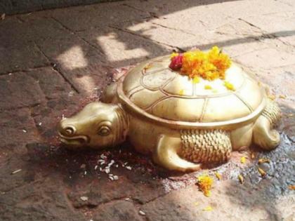 Why is it expected to greet the turtle in the temple hall and then go to the temple? Read on! | मंदिराच्या सभागृहात कासवाला नमस्कार करून गाभाऱ्यात जाणे का अपेक्षित असते? वाचा!