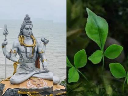 Maha Shivratri 2022 Know the right way to break Bel Patra on Mahashivratri and offer it to Lord Shiva | Maha Shivratri 2022: महाशिवरात्रीला अशा पद्धतीनं अर्पण करा बेलपत्र, जाणून घ्या बेल तोडण्याची योग्य पद्धत