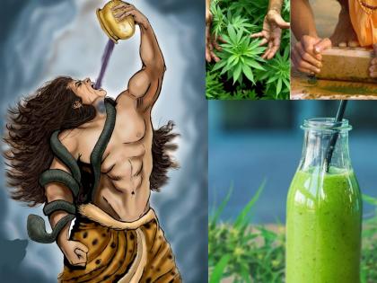 Maha Shivratri 2022: Did Shankar drink cannabis? Is it proper to drink Mahashivaratri as prasad? Find out! | Maha Shivratri 2022 : शंकर भांग पीत होते का? महाशिवरात्रीला प्रसाद म्हणून भांग पिणे योग्य आहे का? जाणून घ्या!