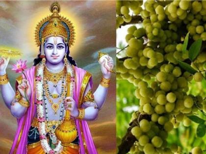 Find out when and how to fast Amalki Ekadashi which gives health and salvation! | आरोग्य आणि मोक्ष देणारे आमलकी एकादशीचे व्रत कधी व कसे करायचे ते जाणून घ्या!