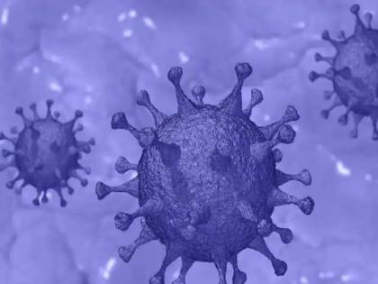 CoronaVirus News Israel reports confirmed cases of combined Omicron and BA 2 strain | CoronaVirus News: नवं संकट! जगानं कधीच न पाहिलेला कोरोनाचा स्ट्रेन इस्रायलमध्ये सापडला; धोका वाढला