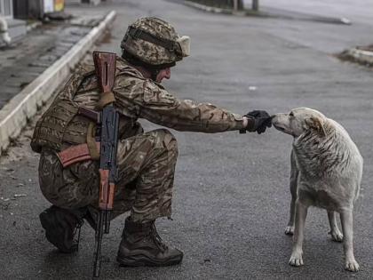 Russia vs Ukraine War Putin's soldiers are eating DOGS after becoming sick of their long life ration packs | Russia vs Ukraine War: मुलींवर बलात्कार करतोय, कुत्रे खातोय! रशियन सैनिकांच्या 'क्लिप'नं खळबळ; युद्धाचा क्रूर चेहरा