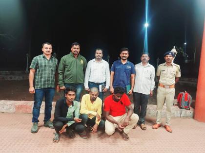 Three days imprisonment for unauthorized entry into Sahyadri Tiger Reserve | सह्याद्री व्याघ्र प्रकल्पात शस्त्रास्त्रांसह विनापरवाना घुसलेल्या तिघांना पाच दिवसांची वनकोठडी