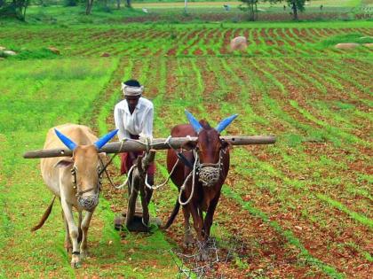 Do farmers have to pay taxes Strict income tax check if income is Rs 10 lakhs | शेतकऱ्यांना द्यावा लागेल टॅक्स? १० लाख रुपये उत्पन्न असल्यास कठोर प्राप्तिकर तपासणी