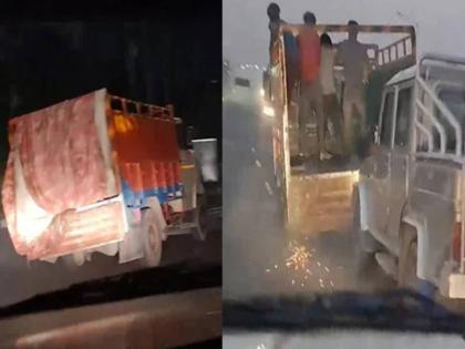 Cattle Smugglers Throw Cows Out Of Truck In Police Chase 22 Km 5 Held Gurgaon | संतापजनक! भरधाव ट्रकमधून गायींना रस्त्यावर फेकलं; तब्बल २२ किलोमीटर चालला पाठलाग