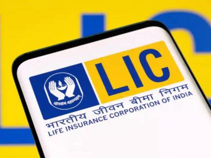 3 options available when investing in LIC IPO Learn how to apply in just 30 seconds