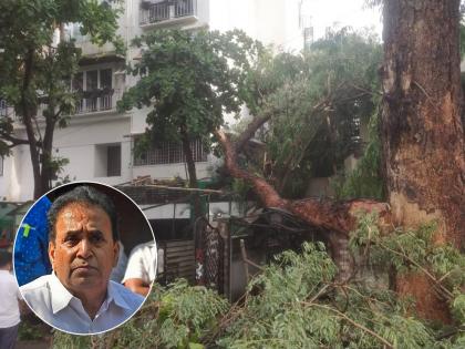 big tree fell on residence of former Home Minister Anil Deshmukh in nagpur | VIDEO: राज्याचे माजी गृहमंत्री अनिल देशमुखांच्या निवासस्थानावर कोसळलं भलं मोठ्ठं झाड