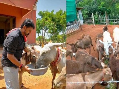 Karnataka techie quits job to start donkey farm gets orders worth 17 lakh for milk | सॉफ्टवेअर कंपनीतील नोकरी सोडून ‘गधा मेहनत’; गाढविणीचे दूध विकून लाखोंची कमाई!