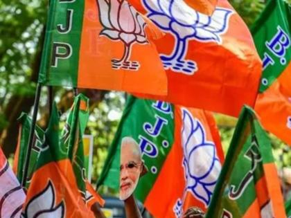 BJP strange dilemma about Muslims there is no Muslim representative in Parliament | मुस्लिमांबद्दल भाजपची विचित्र कोंडी, संसदेत एकही मुस्लीम प्रतिनिधी नाही!