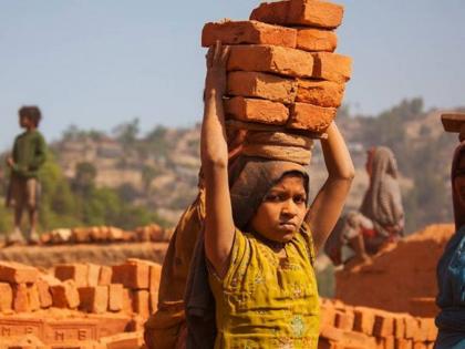 Significant increase in the number of child laborers in the state Cry report | शिक्षण सुटले, हाती आले काम! राज्यात बालकामगारांच्या संख्येत लक्षणीय वाढ; ‘क्राय’चा अहवाल