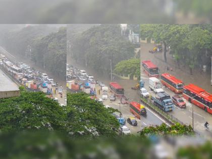 maharashtra konkan mumbai rains live updates in marathi imd red alert weather forecast | Maharashtra Mumbai Rain Live: मुंबईत कुठं कुठं पाणी साचलंय, जाणून घ्या महत्वाची माहिती...