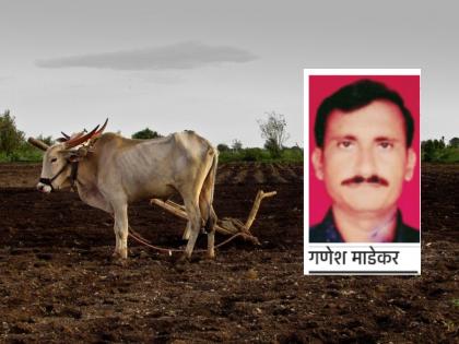 maharashtra farmer commits suicide by holding electric wire in his mouth | धक्कादायक! विजेची तार तोंडात धरून अतिवृष्टीग्रस्त शेतकऱ्याची आत्महत्या, मदतीच्या प्रतीक्षेत गेला आणखी एक जीव