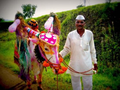 Bail Pola 2022: Festival of Pola today; On that occasion, read the funny story of a farmer and the bulls! | Bail Pola 2022: आज पोळ्याचा उत्सव; त्यानिमित्ताने वाचा एका शेतकरी दादाची आणि बैलांची मजेशीर गोष्ट!