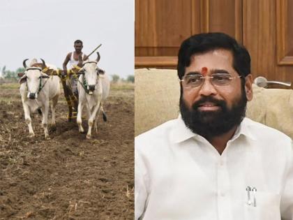 mukhya mantri kisan yojana will be implemented in maharashtra | मोठी बातमी! PM Kisan योजनेच्या धर्तीवर राज्यात 'मुख्यमंत्री किसान योजना' आणणार, शिंदेंचा 'मास्टरस्ट्रोक'