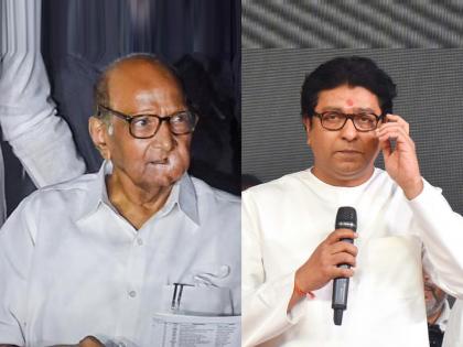 Sharad Pawar attack on Raj Thackeray says his party not even had mlas in vidhan bhavan | "हाताच्या बोटावर मोजण्याइतपतही आमदार आणता येत नाहीत, त्यांना...", शरद पवारांचा राज ठाकरेंवर हल्लाबोल!