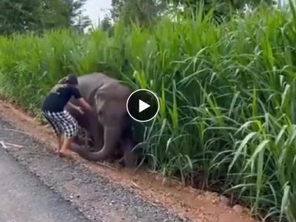 girl helped the baby elephant to come out from the mud video viral | हत्तीचं पिल्लू चिखलात अडकलं, मुलीनी अशी केली मदत अन् 'छोटा हाती'चं मन जिंकलं! पाहा Video