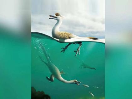 Dinosaur New Species Natovenator Might Have Dived Like Duck To Catch Its Prey In Mongolia | Dinosaur New Species: जगात प्रथमच पोहणाऱ्या डायनासोरचा शोध, बदकाप्रमाणे पाण्यात डुबकी घेत करायचा शिकार!