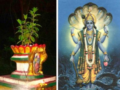 Vastu Shastra: What is the use of Tulsi Pujan? So know how Lakshmi and Vishnu grace! | Vastu Shastra: तुळशी पूजनाचा काय उपयोग? त्यामुळे लक्ष्मी आणि विष्णुकृपा कशी होते, जाणून घ्या!